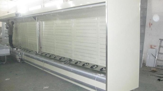 3mDynamic ファン/蒸化器の開いた マルチデッキ の冷凍の工場